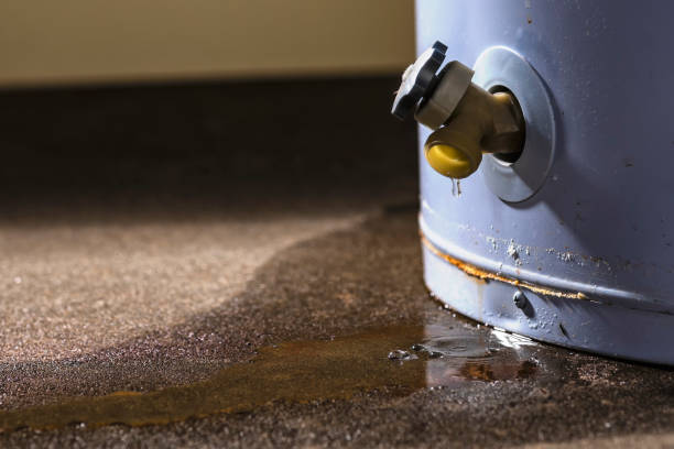 Best Water damage contractors near me  in Wakefield, NE