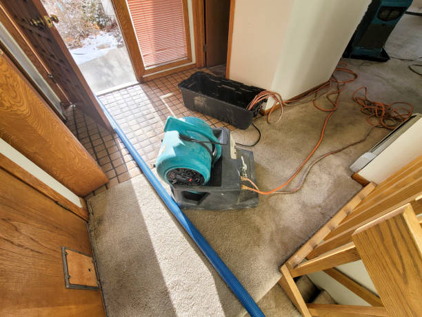 Best Water damage cleanup near me  in Wakefield, NE