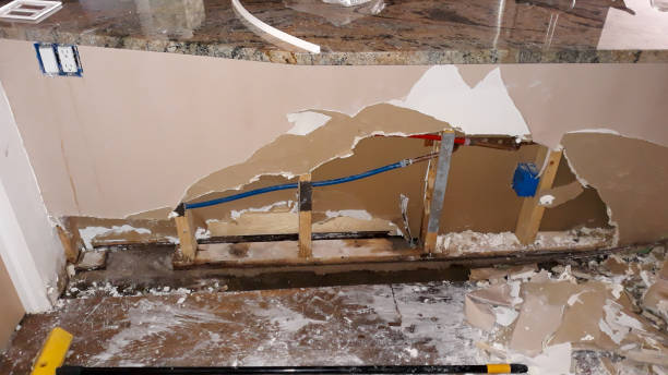 Best Mold removal after water damage  in Wakefield, NE