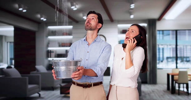 Best Sewage cleanup and water damage restoration  in Wakefield, NE