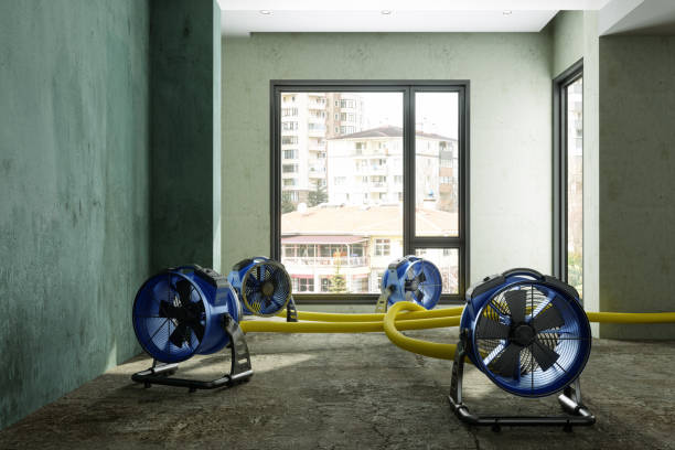 Best Residential water damage restoration  in Wakefield, NE
